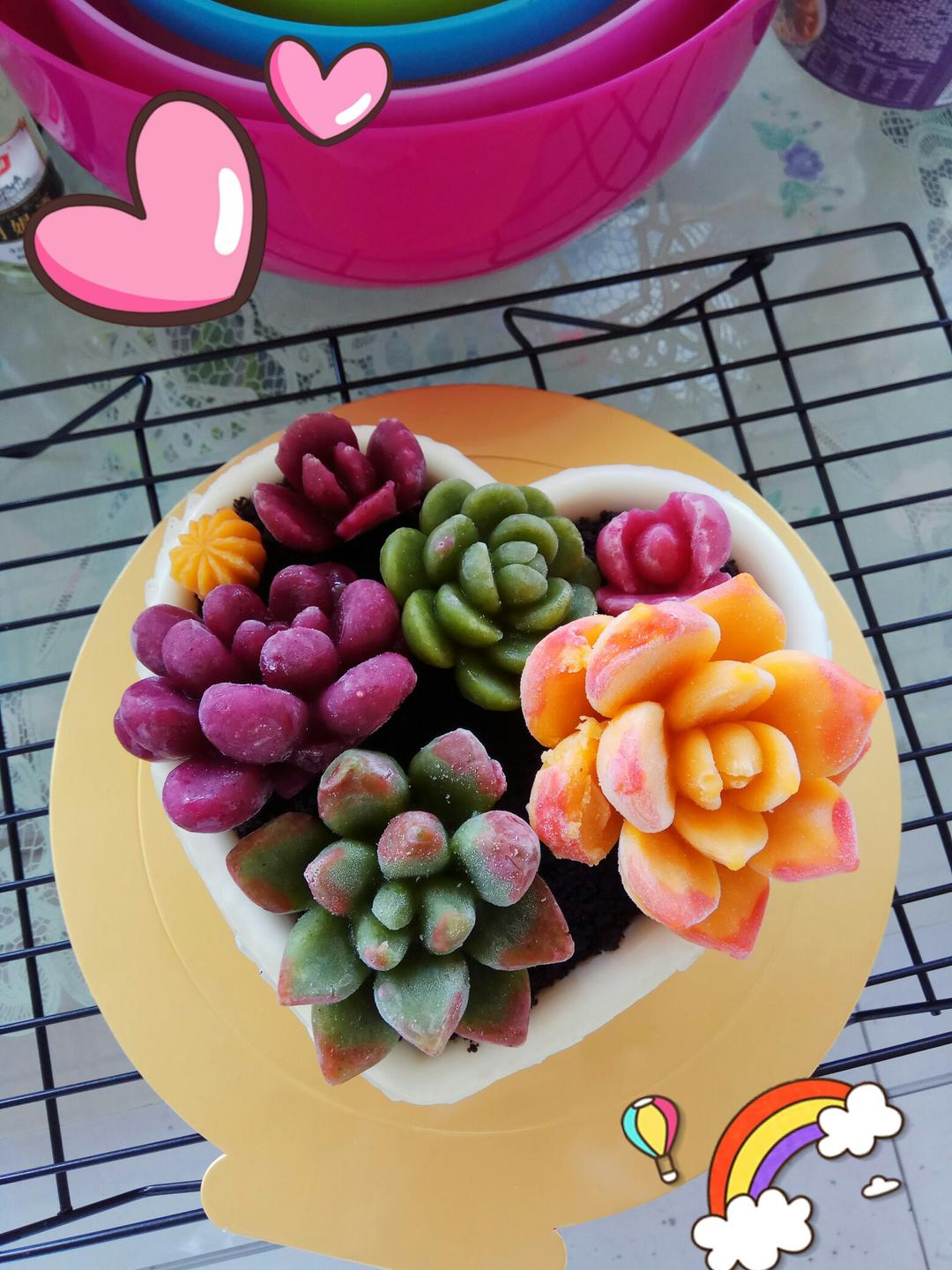 堂妈的多肉蛋糕