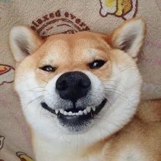 mini大大