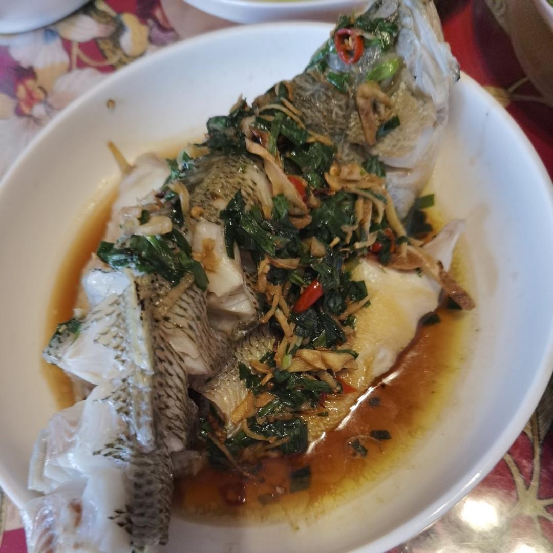 清蒸鲈鱼