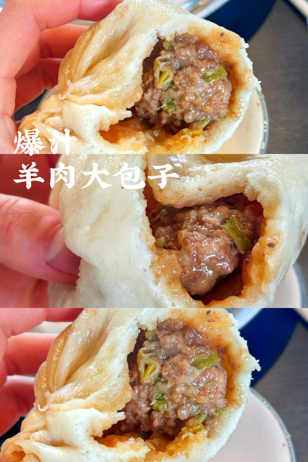 万能羊肉馅包子
蒸饺 爆汁