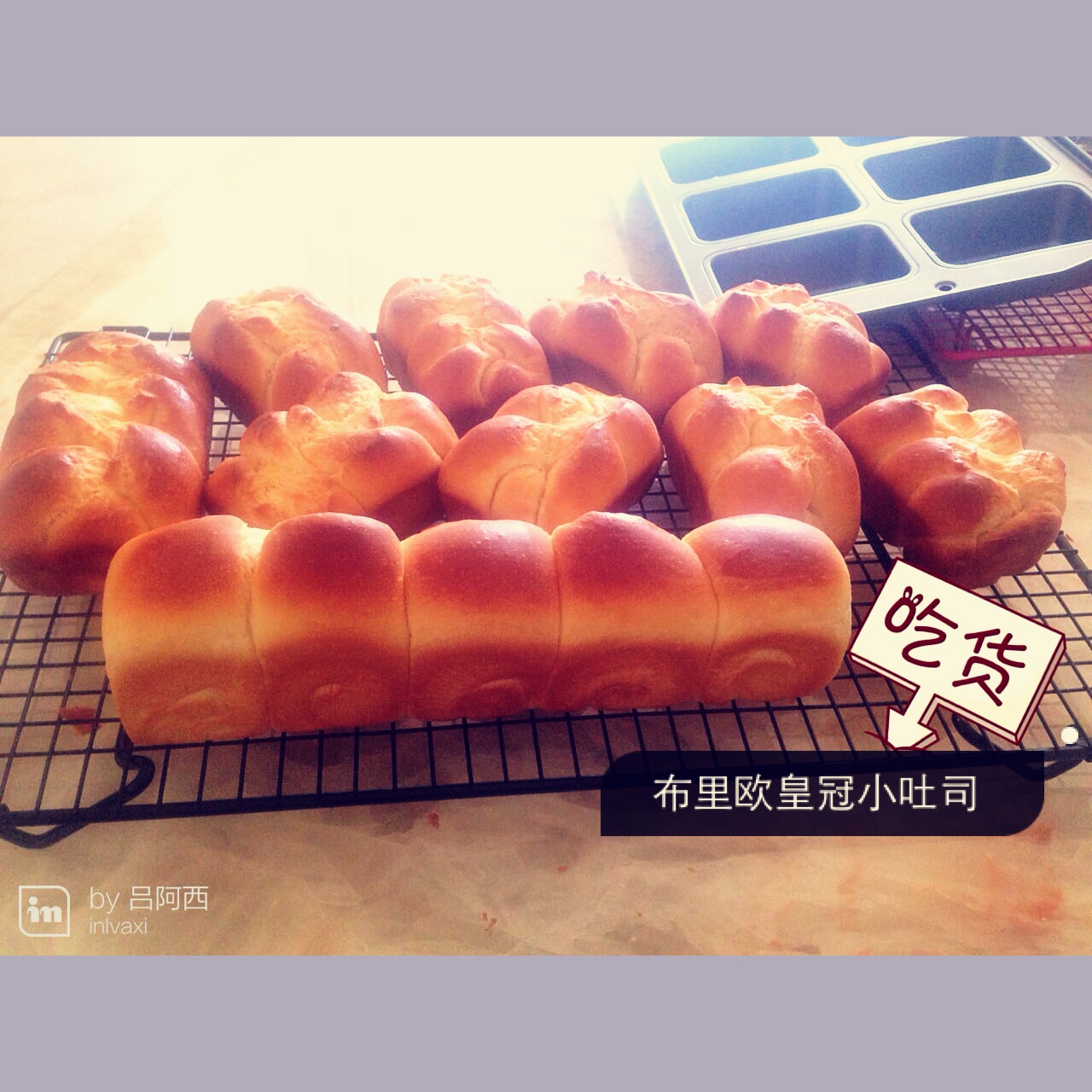 布里欧皇冠小吐司