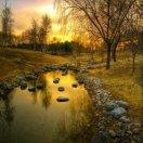 木子718616的厨房