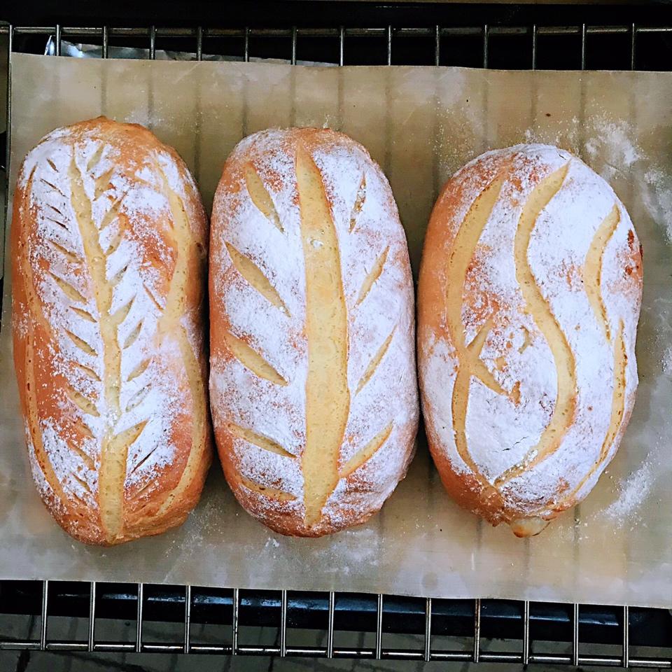 红豆/肉松麻薯软欧面包+石榴茶【曼食慢语】