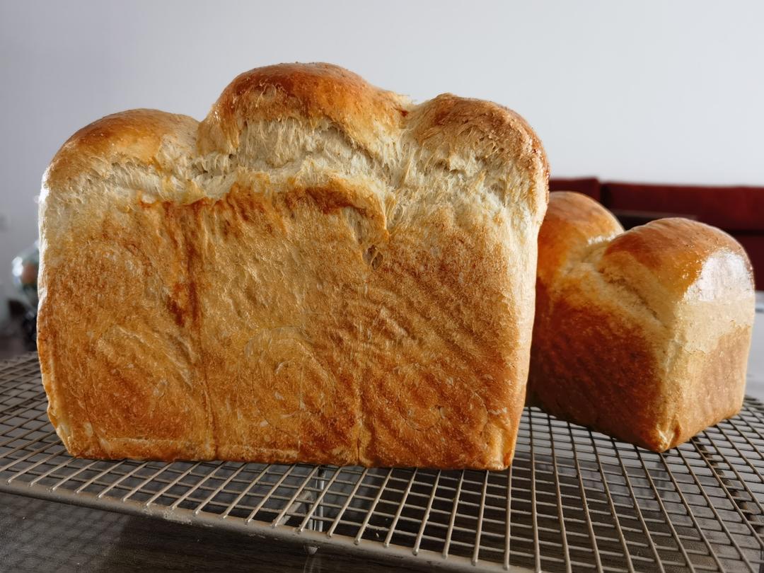 减脂｜无糖全麦吐司🍞，无糖全麦也能长得高