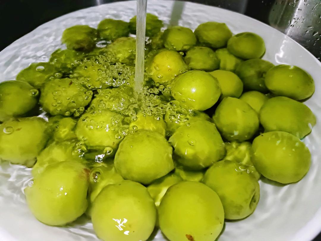 【青梅酒】梅子的沉醉时光（已填坑）