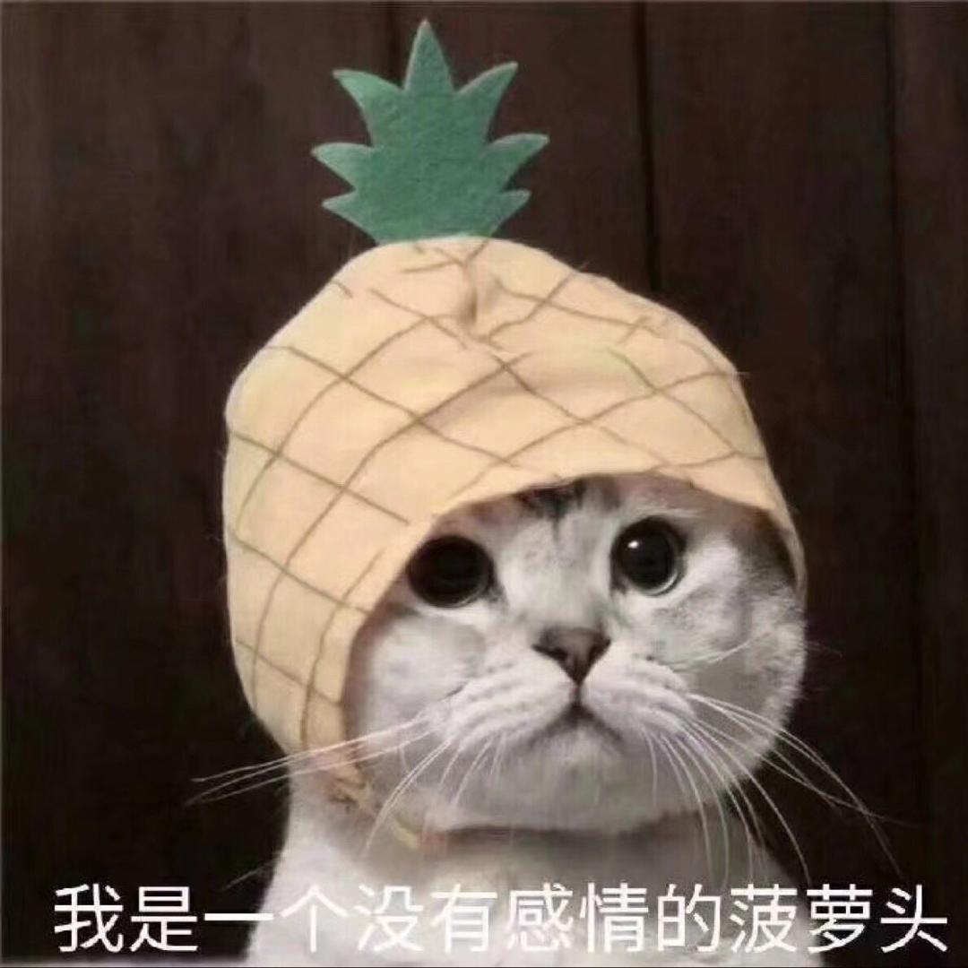 划水的丸十八