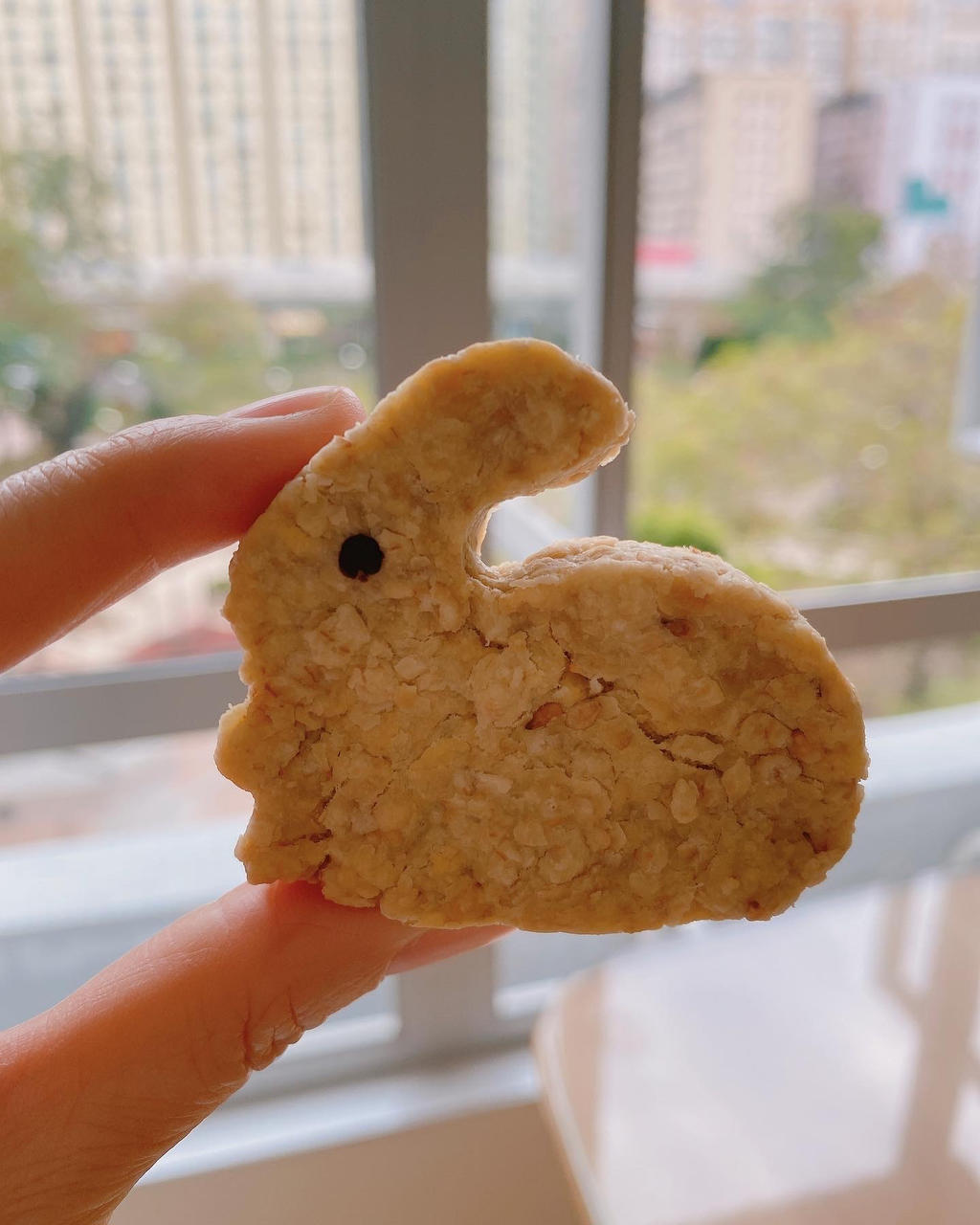 燕麦饼干|低脂健康小零食