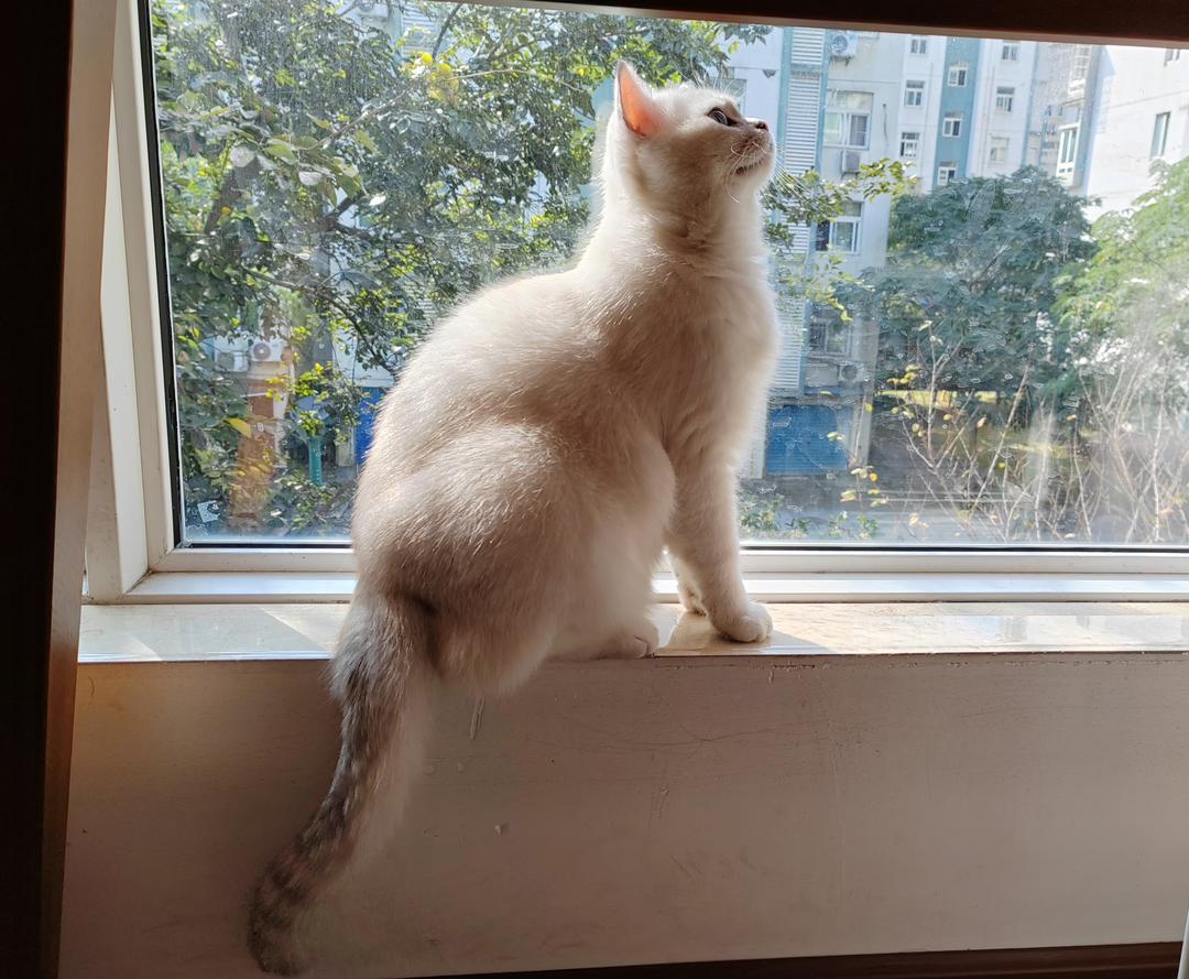 下厨房用户_gwm0d