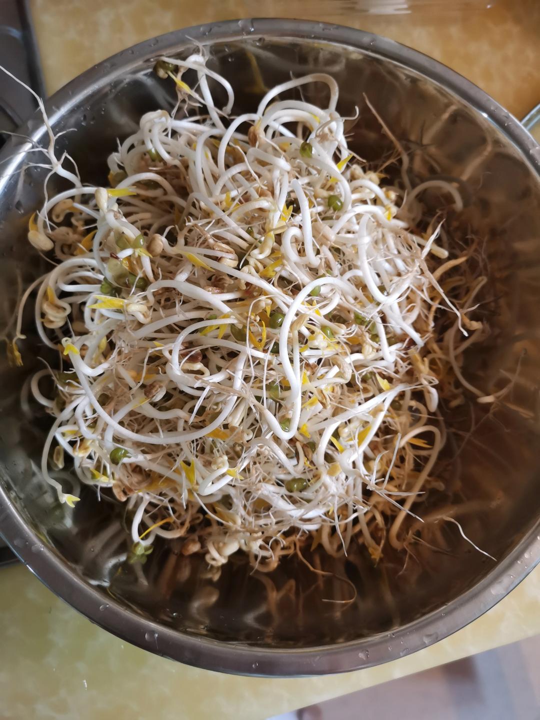 自制黄豆芽，也是家里的生物课哦😊