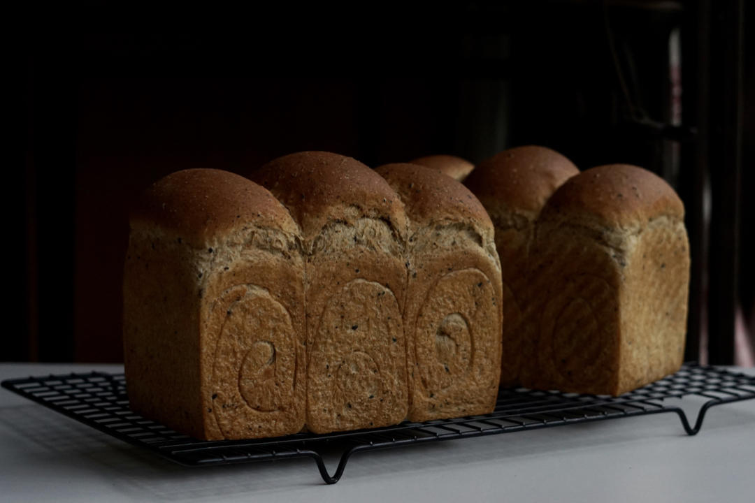 顺势而为 波兰小黑吐司