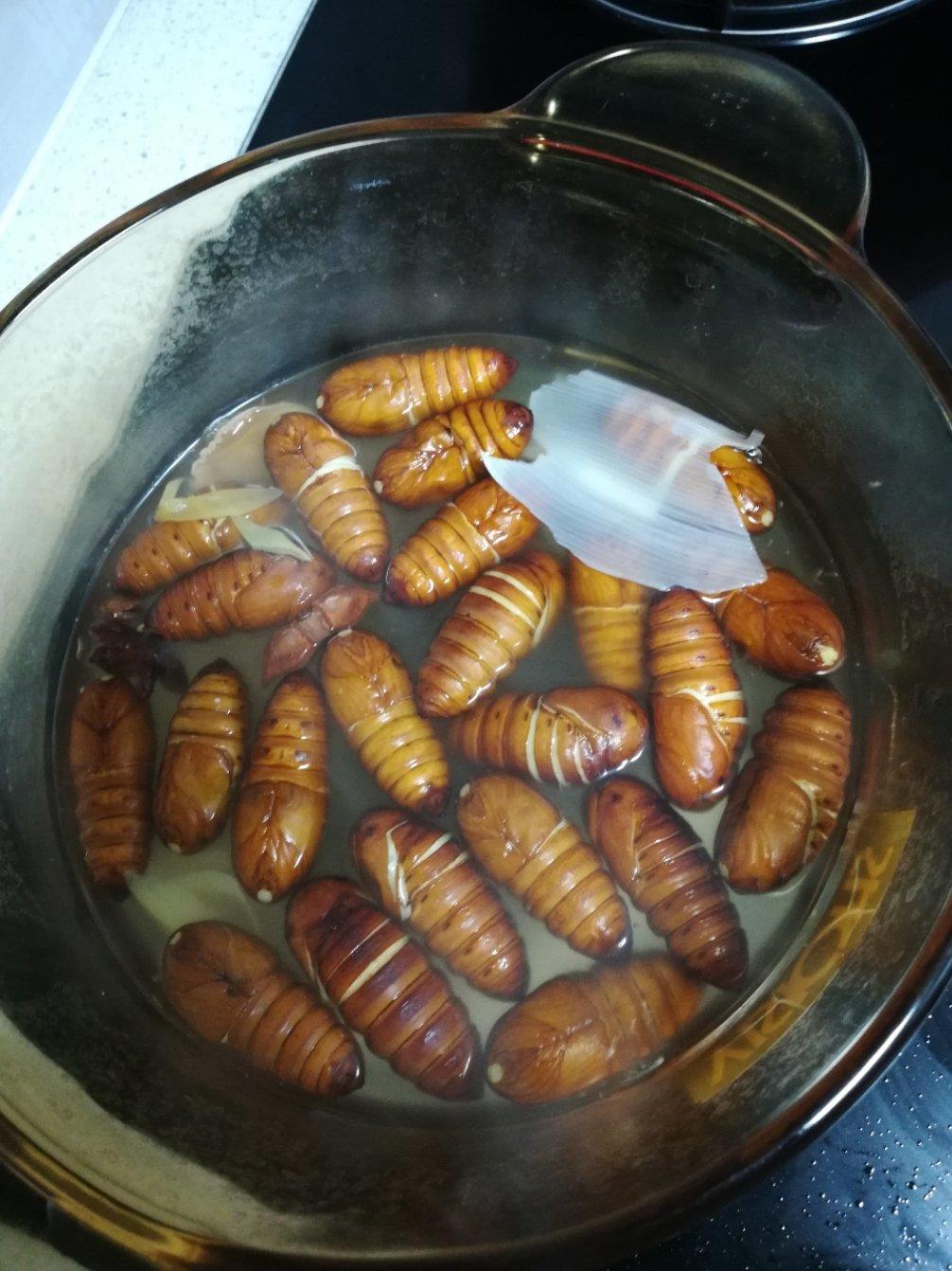 大卫的胡萝卜做的盐水煮蚕蛹