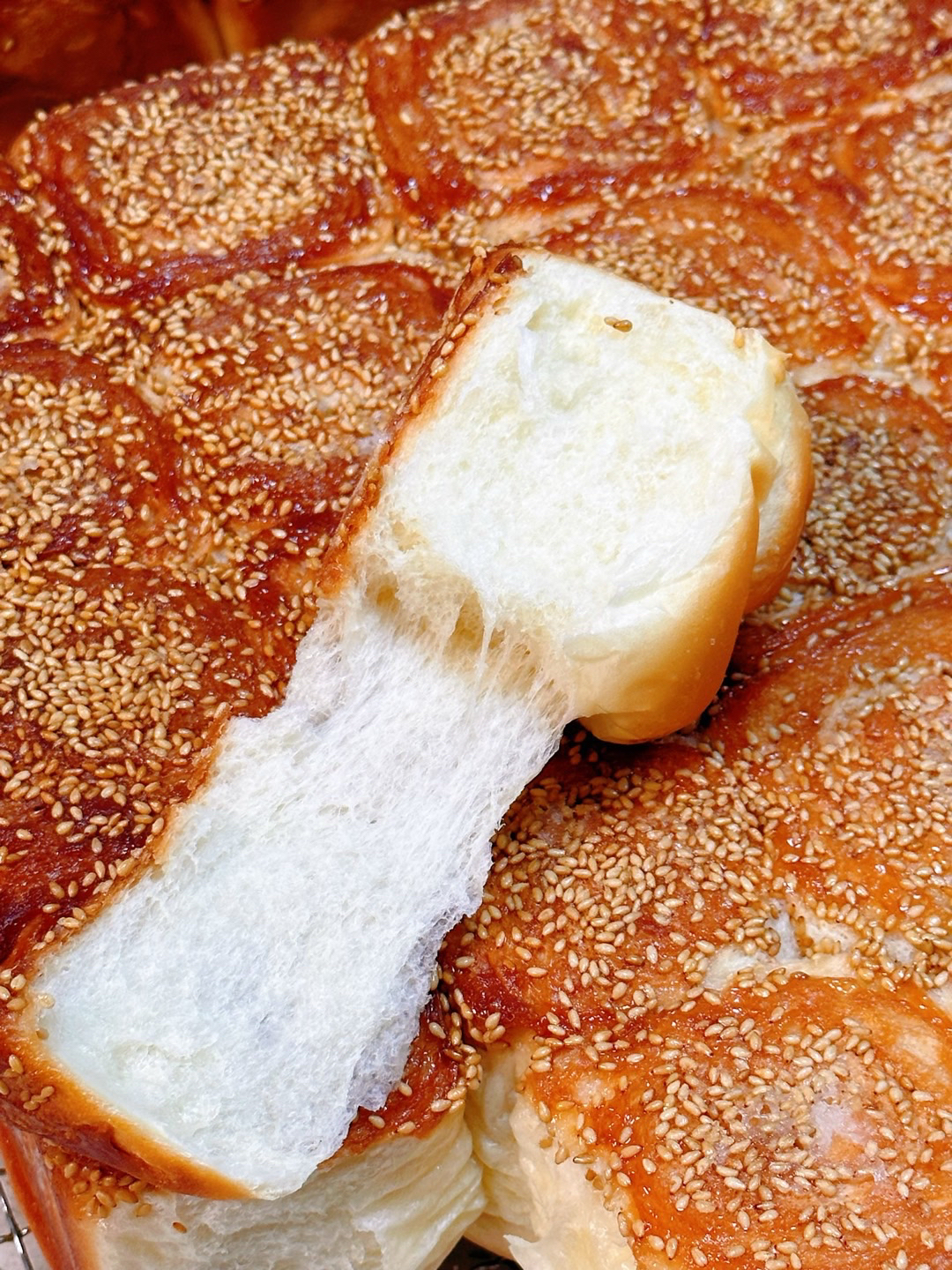 蜂蜜脆底小面包