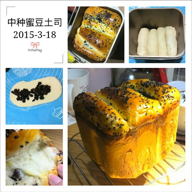 汉堡胚（中种法）