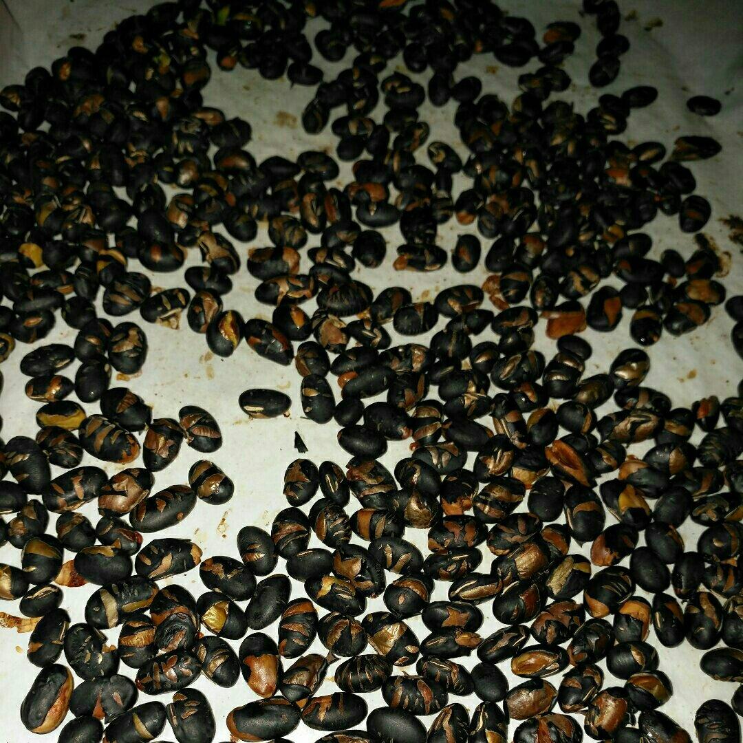 烤黑豆