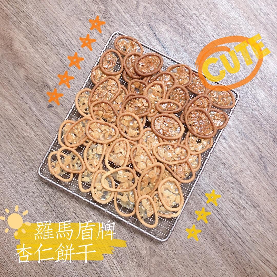 罗马盾牌