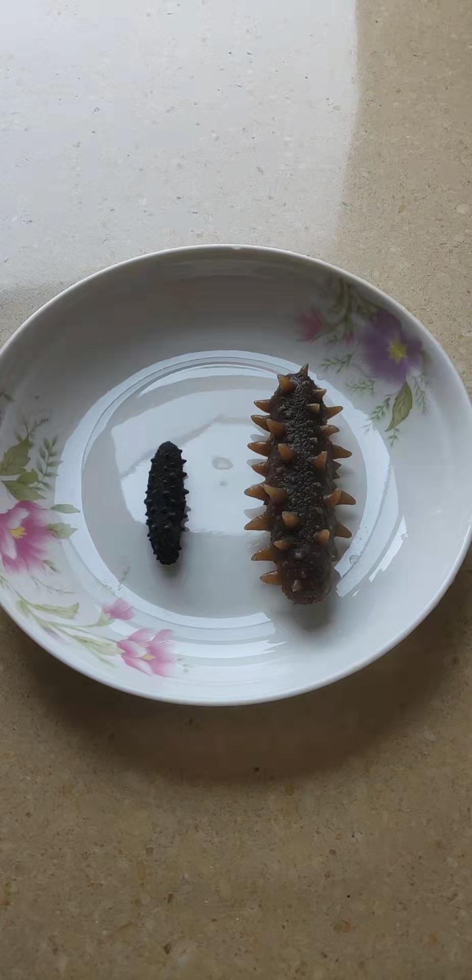 泡发海参的方法