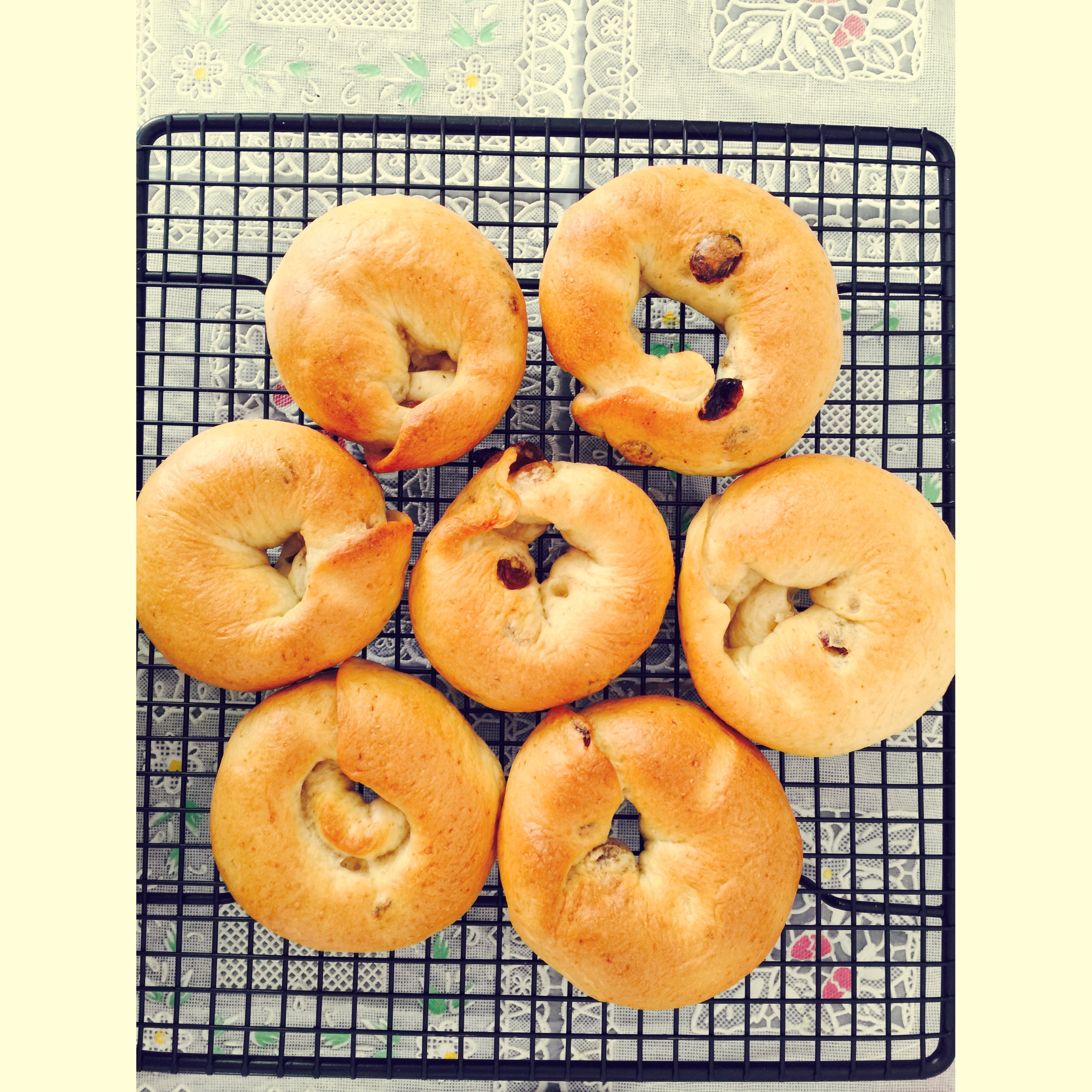 50%全麦葡萄干迷你贝果