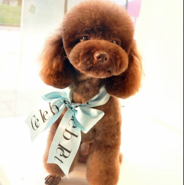 lmy小雅2782360963的厨房