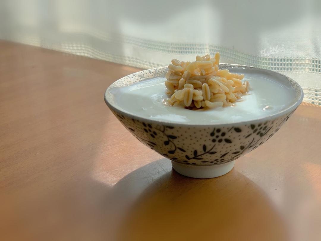 甜醅酸奶 || 小食