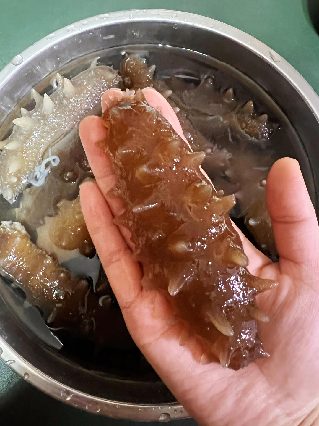 泡发海参保姆级教程