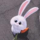 丹丹Darcy