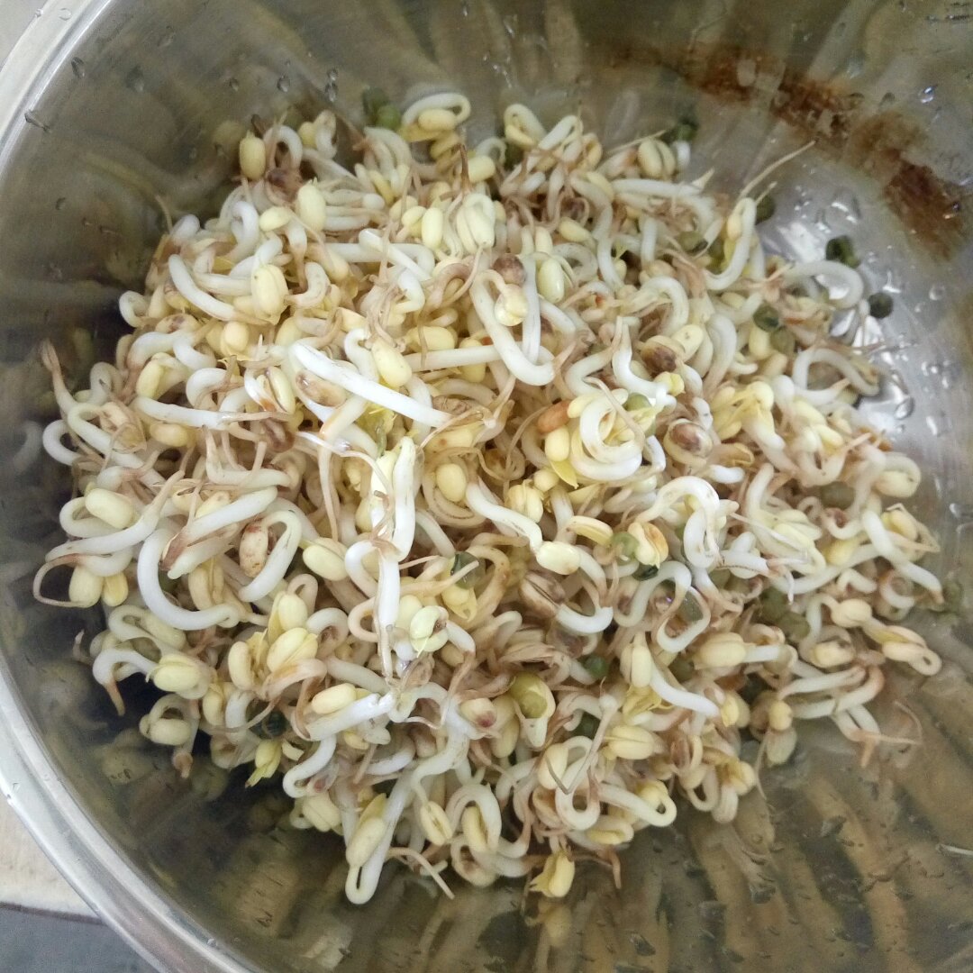 自发豆芽（可乐瓶发豆芽0失败！）