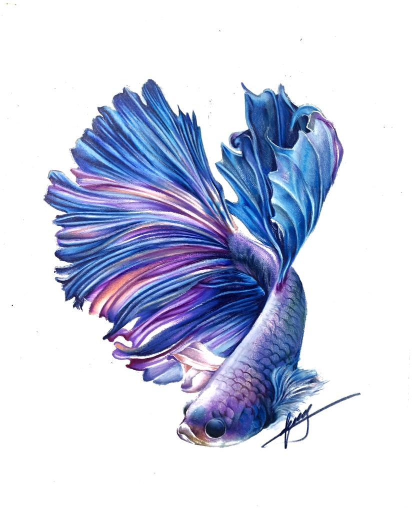 牛肉芝士汉堡（彩铅版）