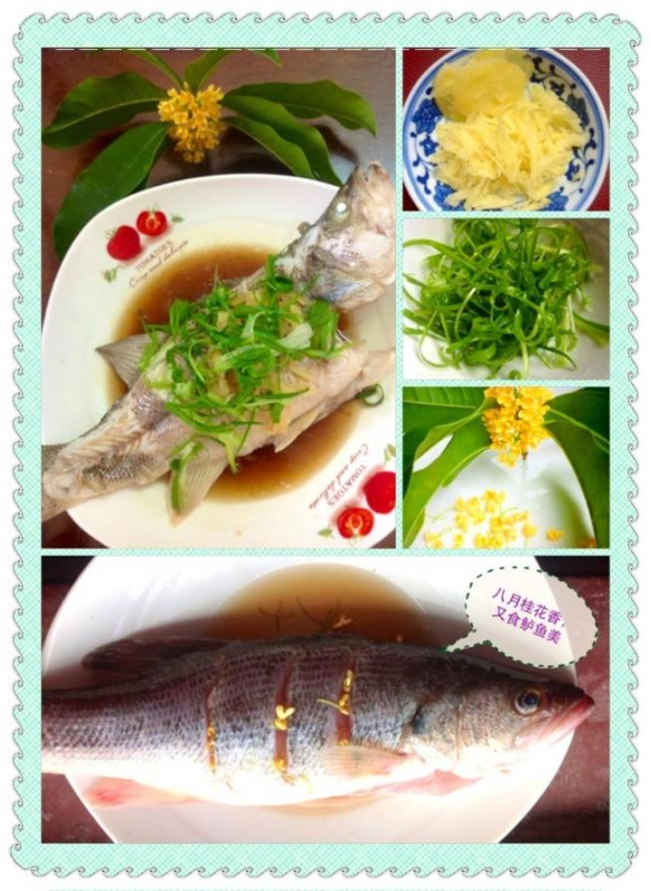 清蒸鲈鱼