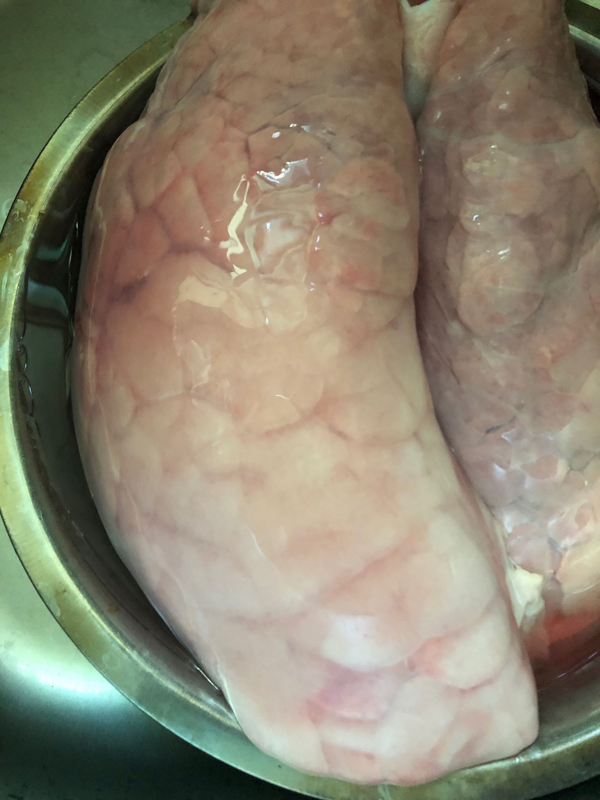 猪肺炖橄榄汤的做法 步骤3