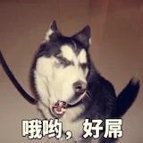 要胖死了