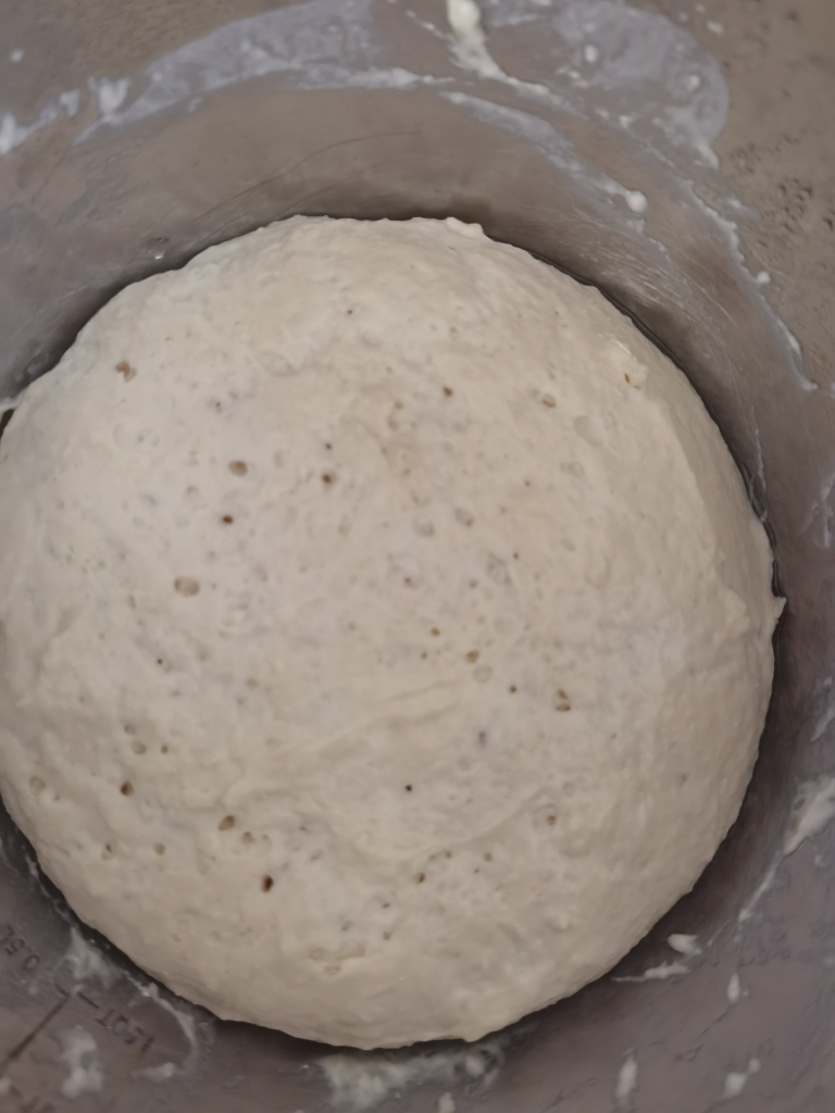 好吃的老面包，用普通面粉就可以做，不揉手套膜一样柔软拉丝的做法 步骤4