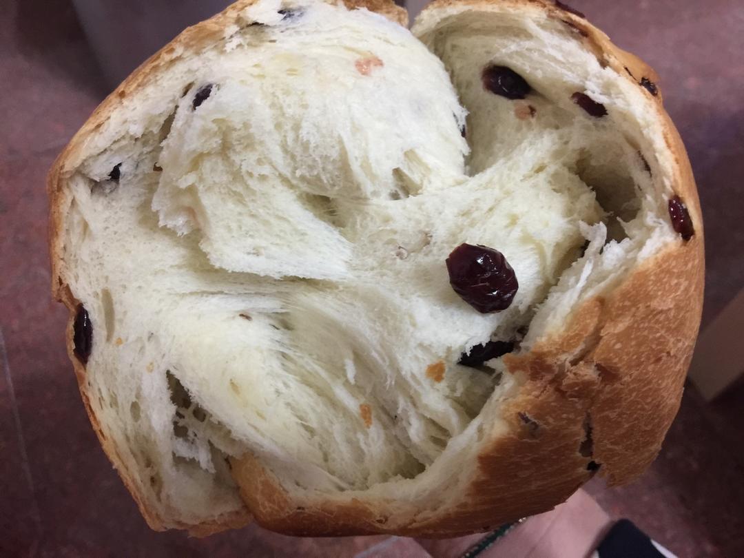 提子土司（柏翠面包机PE6280）自用方子