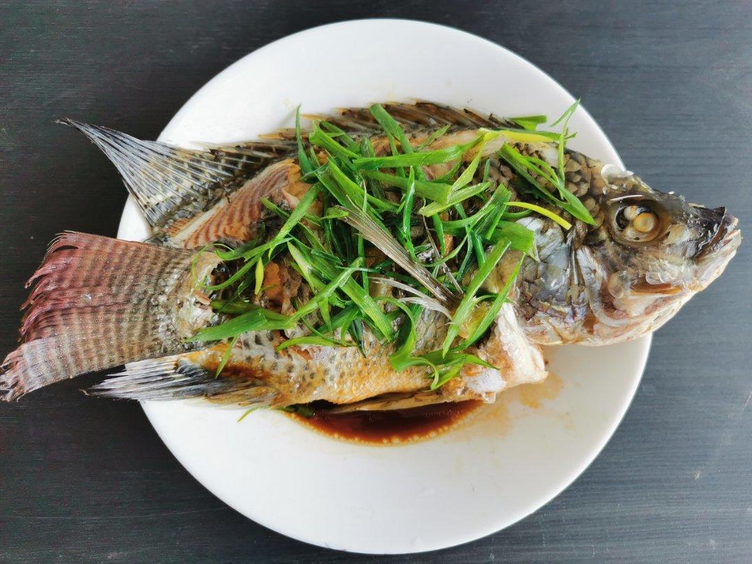 清蒸罗非鱼，人人都能学会的一道菜