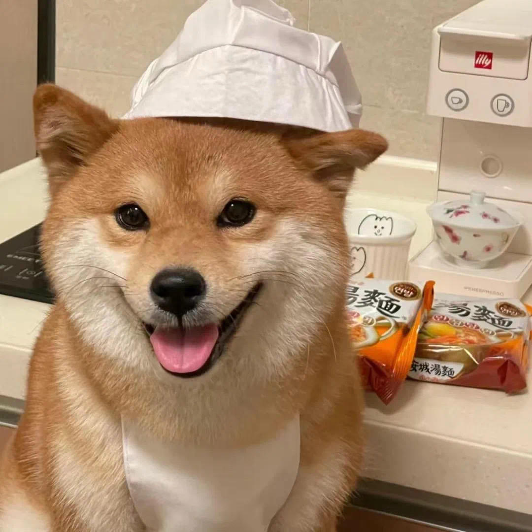 狗大厨