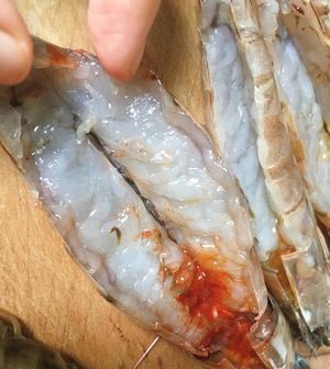 蒜蓉大虾“粉丝”的做法 步骤1
