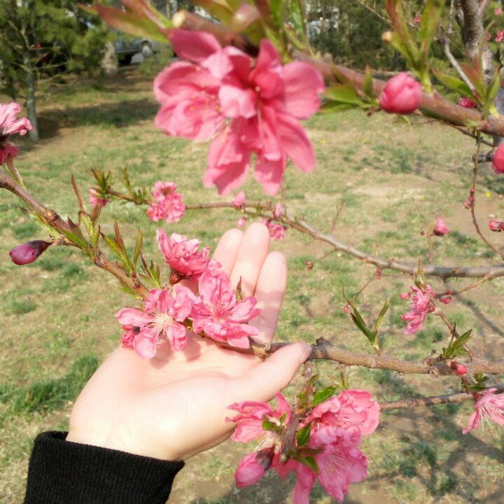 我+厨房我的菜