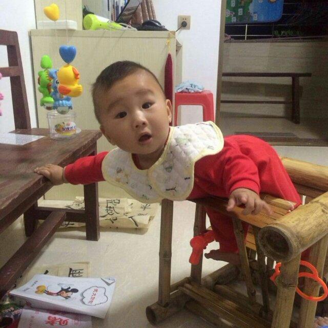 杨太太凤妈咪