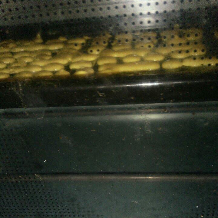 入口即化的溶豆