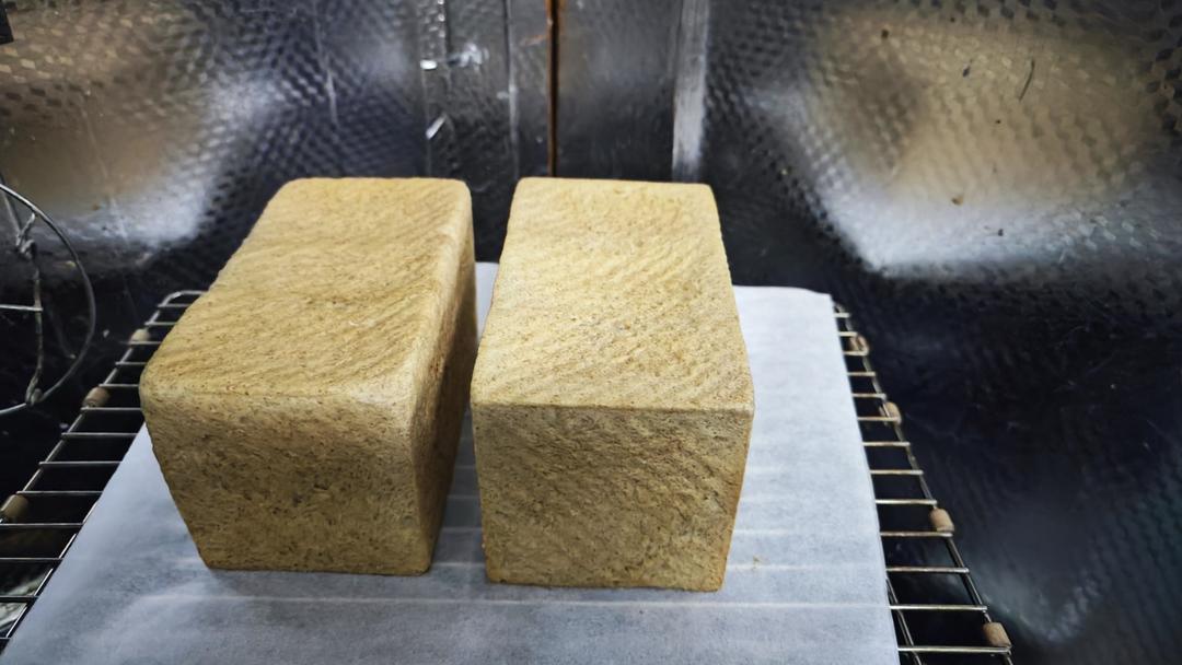 试过无数全麦吐司，还是这款40%全麦生吐司最好吃！