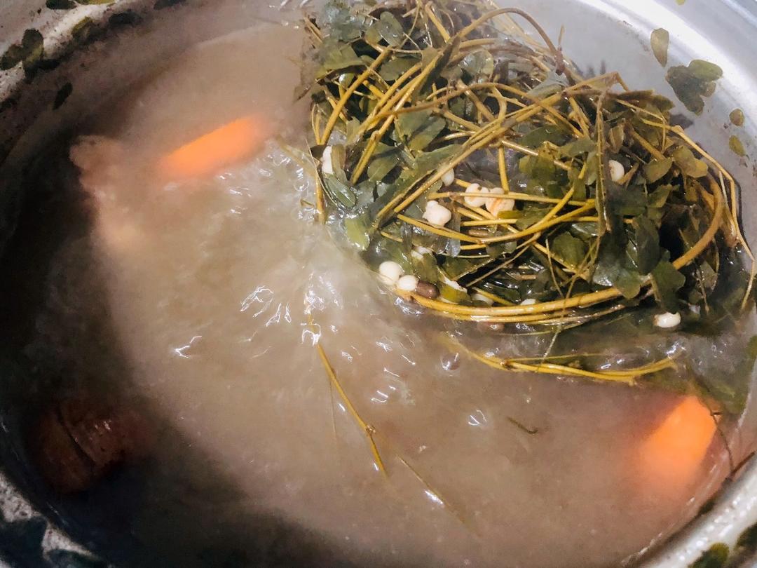 清肝热鸡骨草汤