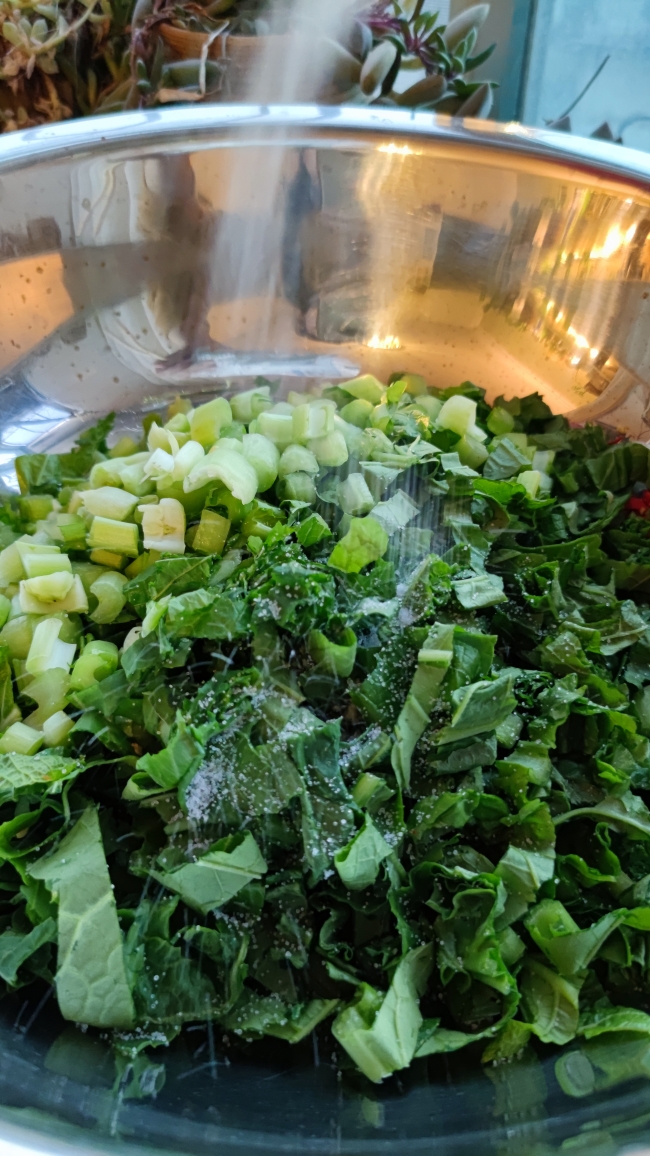 超快手制作简单的水腌菜的做法 步骤29
