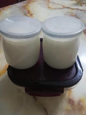 不用酸奶机做酸奶(电饭煲版)的做法 步骤1