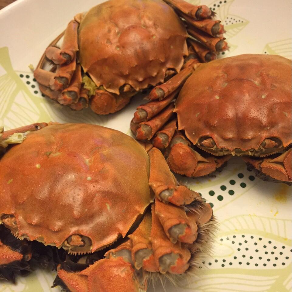 清蒸大闸蟹