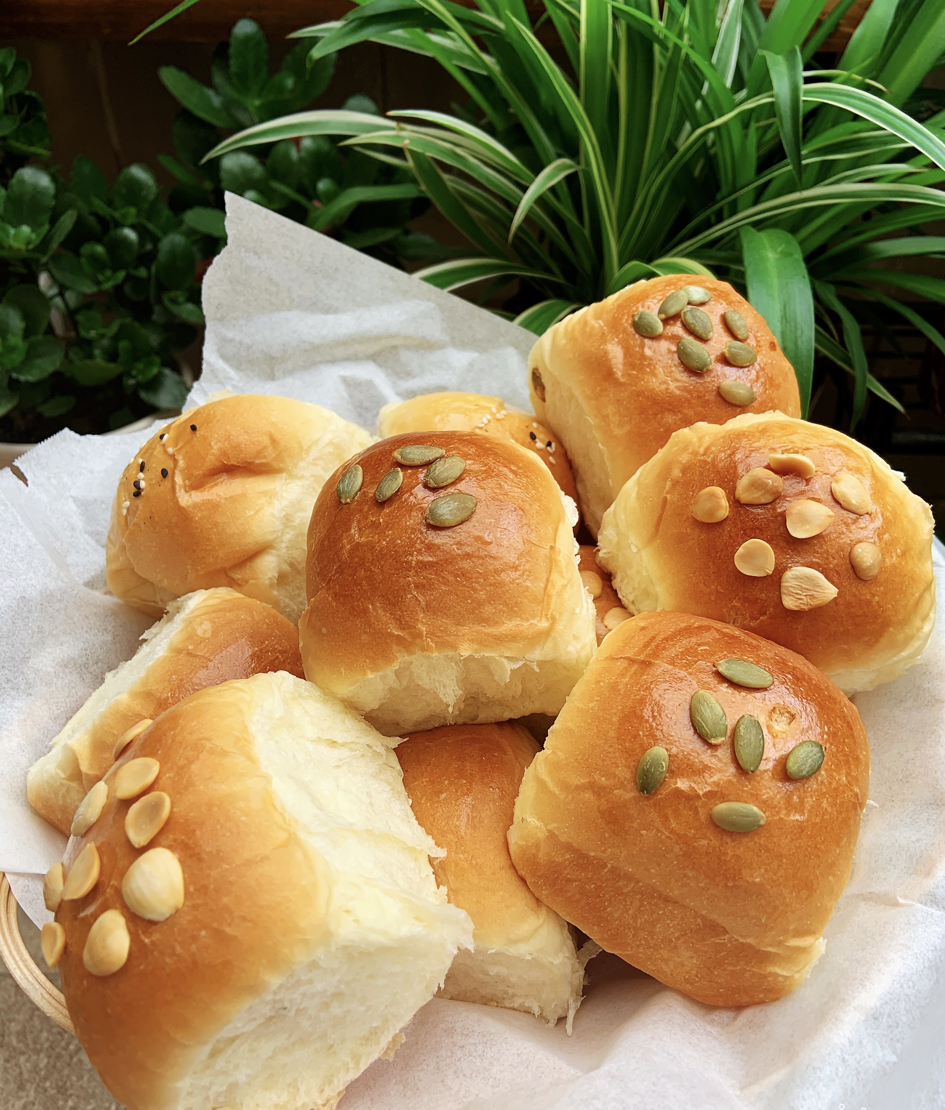 奶香小面包（厨师机➕发酵箱版）的做法