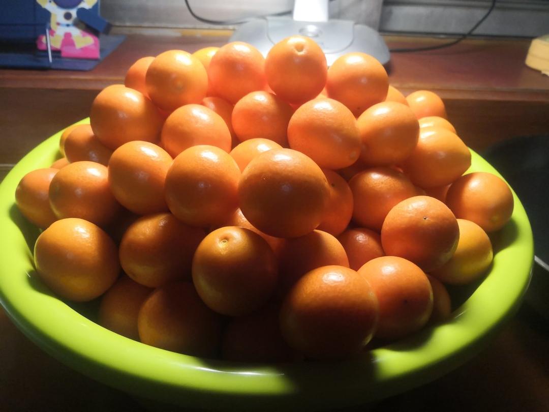 止咳化痰-金桔膏