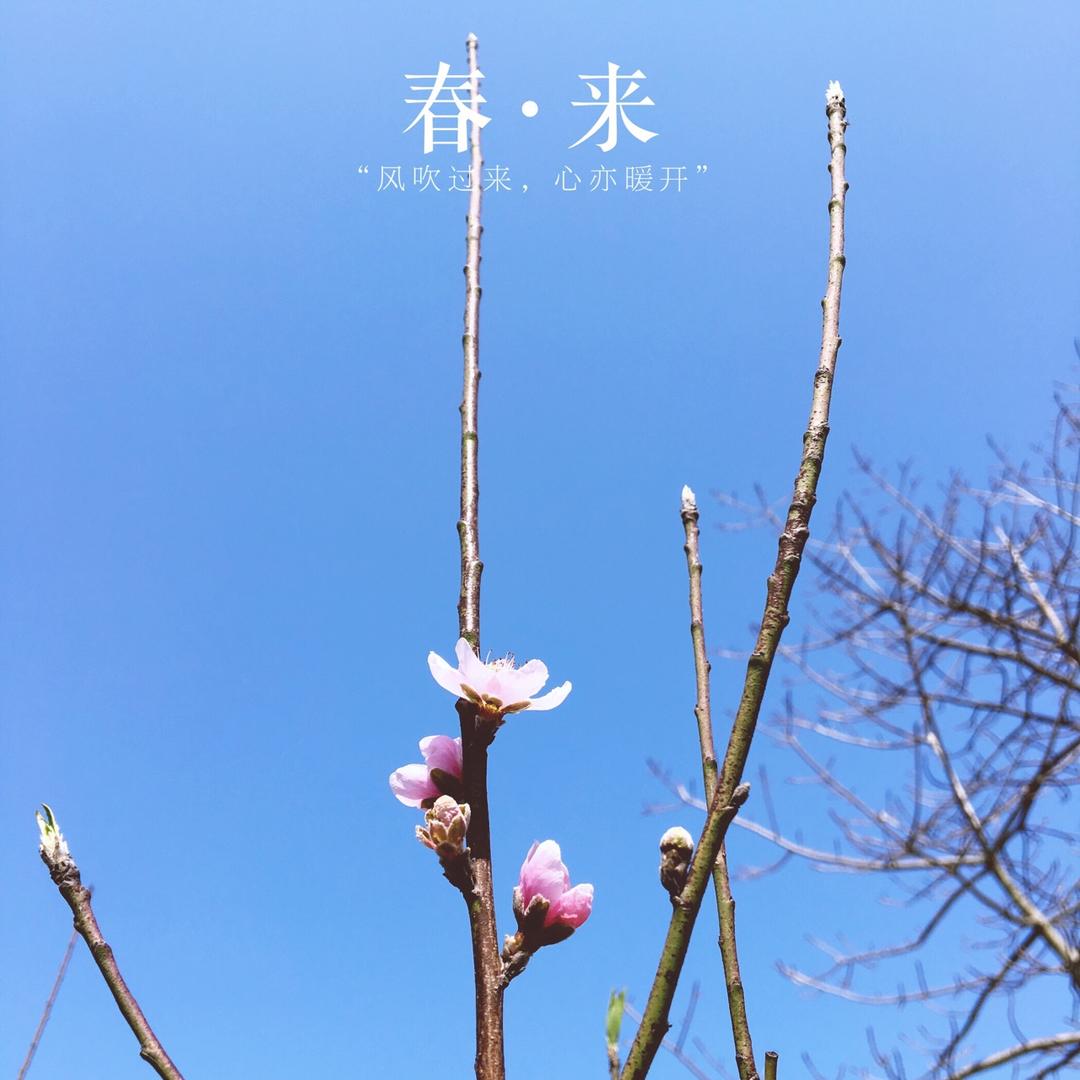 我的厨房我做煮