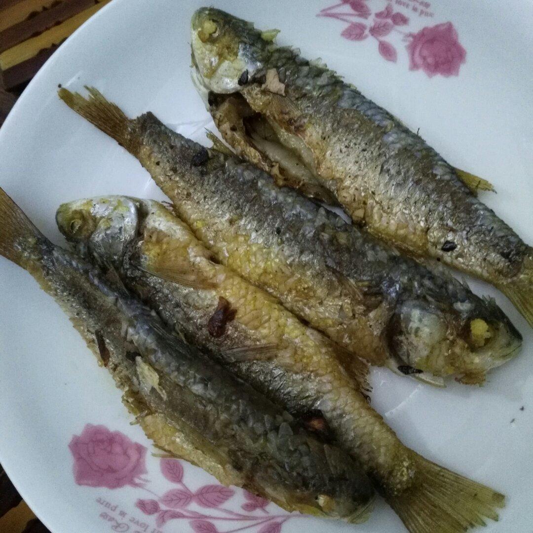 晚餐•2016年11月21日