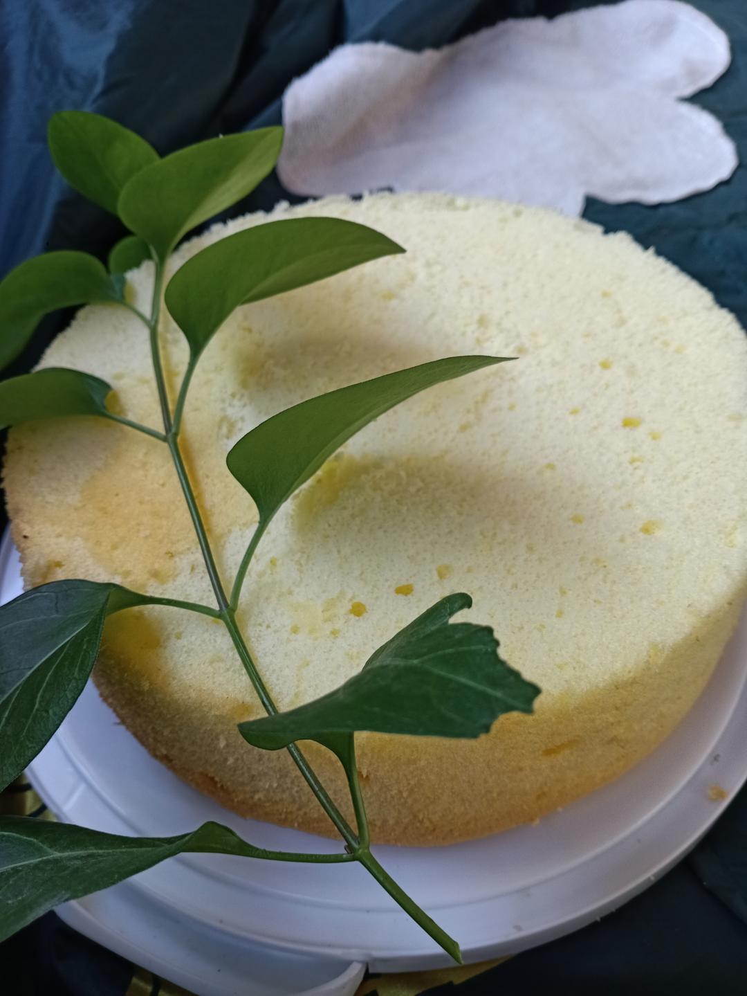 酸奶蛋糕//水浴法