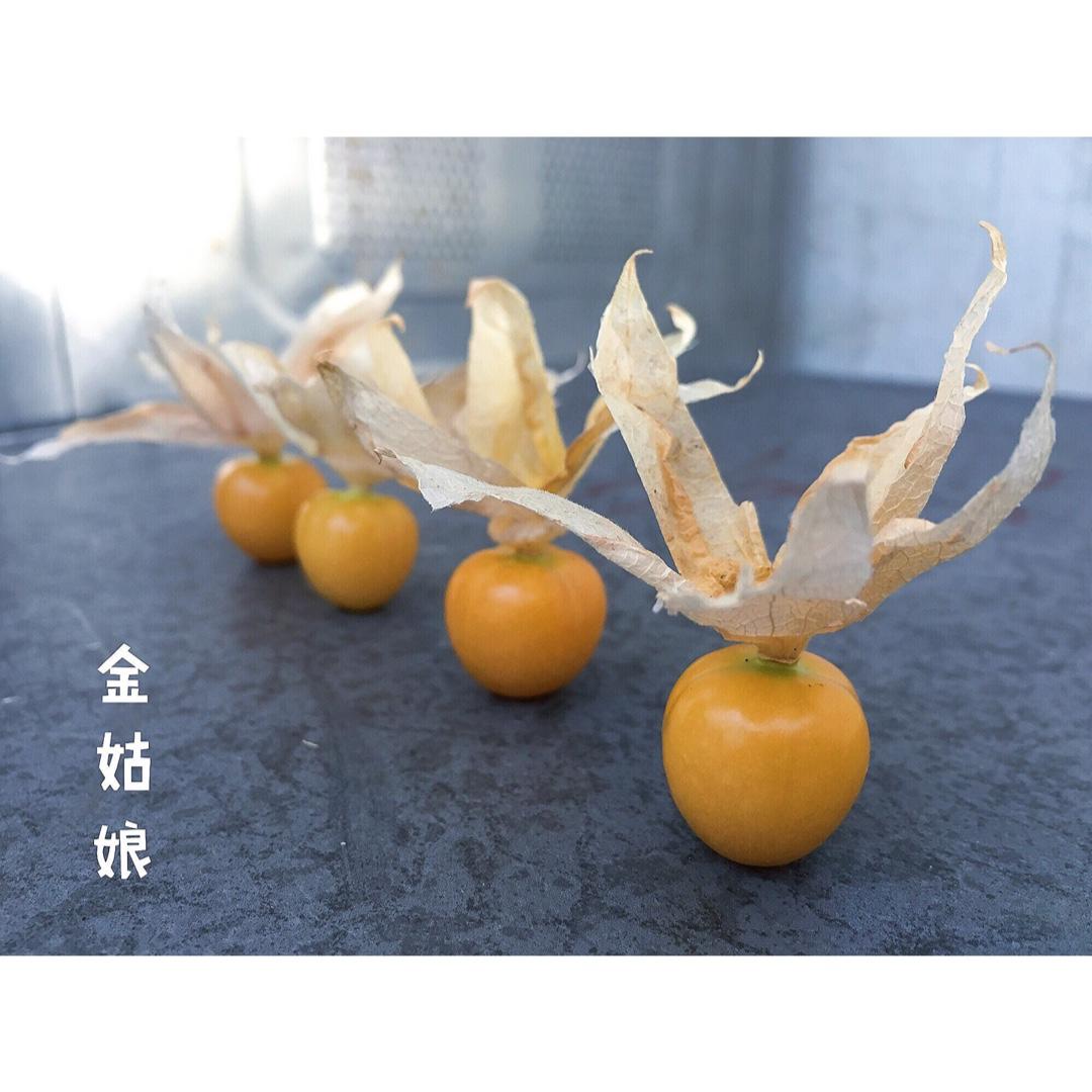 四季食材秀
