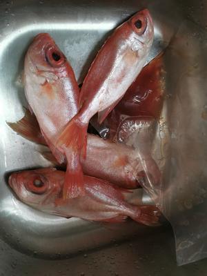 香煎大眼红鱼的做法 步骤1
